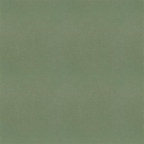 Studio Velvet (Fc) - Evergreen