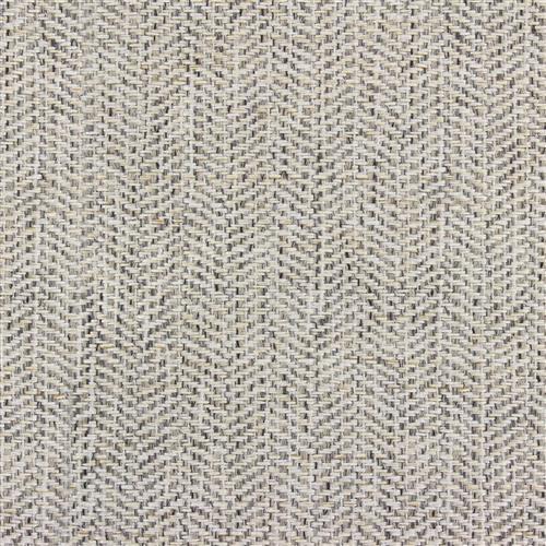 Abel Pfr (Ri) - Performance - Pigeon