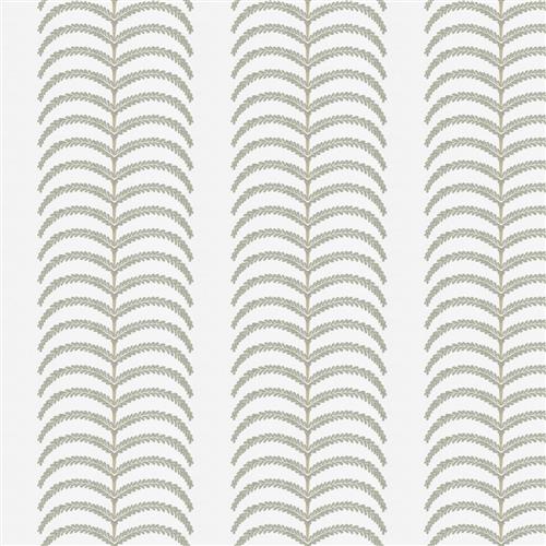 Grosseto (Fc) - Dusty Miller