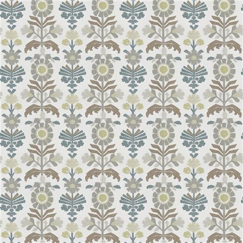 Loryn (Fc) - Dusty Miller