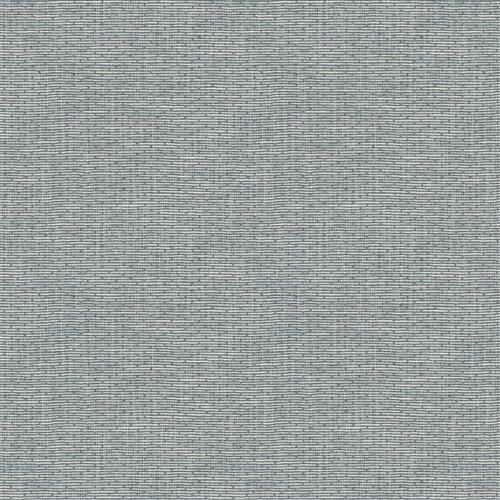 Luckette (Fc) - Delphinium