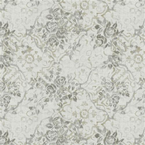 Trento (Fc) - Dusty Miller