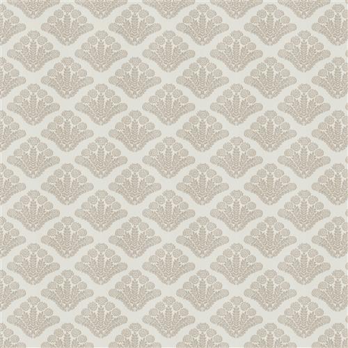 Trieste (Fc) - Dusty Miller