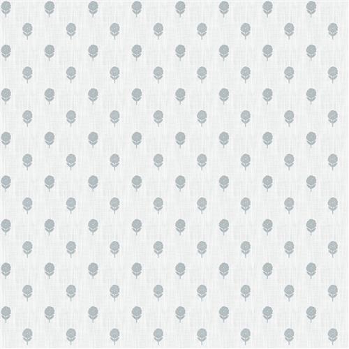 Mirembe (Fc) - Dusty Miller