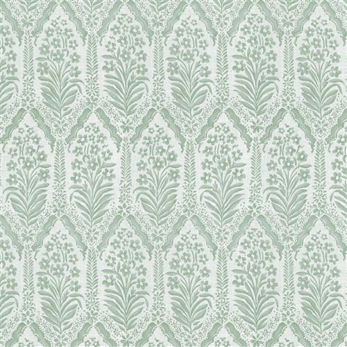 Callum (Fc) - Dusty Miller