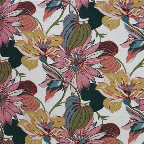 Macody (Ri) - Cerise